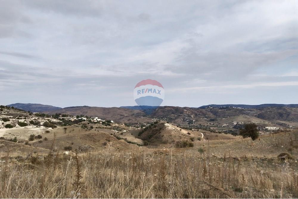 Residential - Land - Nata, Paphos - CY - IMG_20251103_152024.jpg - 480031139-208