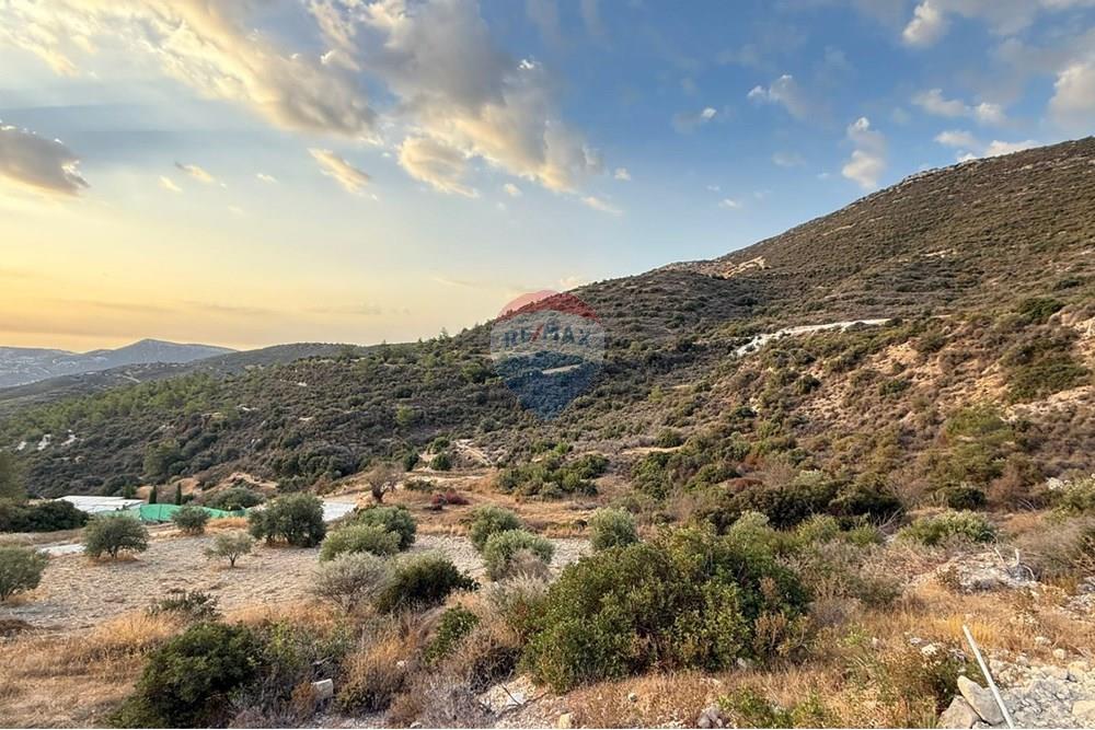 Residential - Land - Mathikoloni, Limassol - CY - WhatsApp Image 2025-10-03 at 11.51.06 AM (2).jpeg - 480031152-163