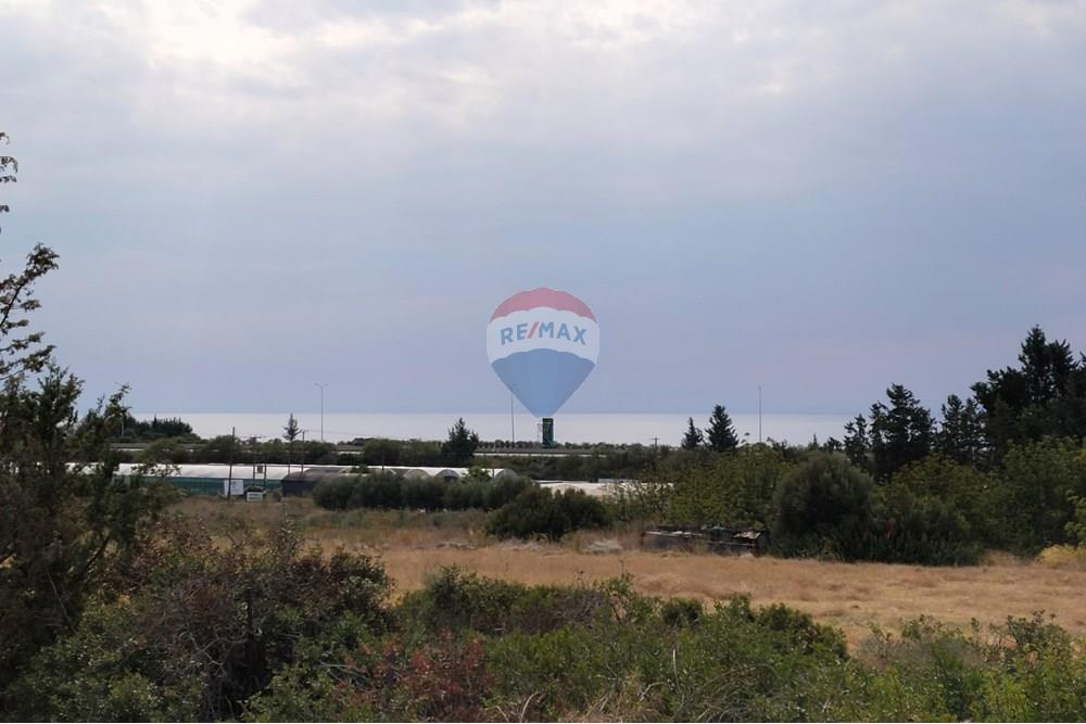 Residencial - Terreno - Kouklia, Paphos - CY - IMG_20251103_123459.jpg - 480031139-207