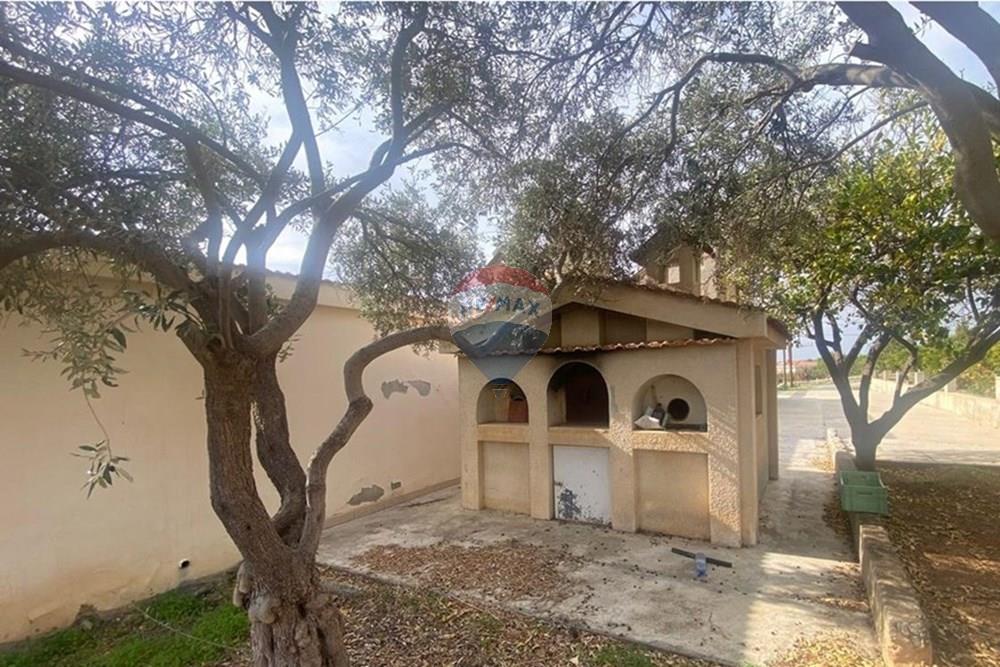 Comercial - Restaurante - Apesia, Limassol - CY - WhatsApp Image 2025-12-04 at 14.58.19_c4607221.jpg - 480031147-83