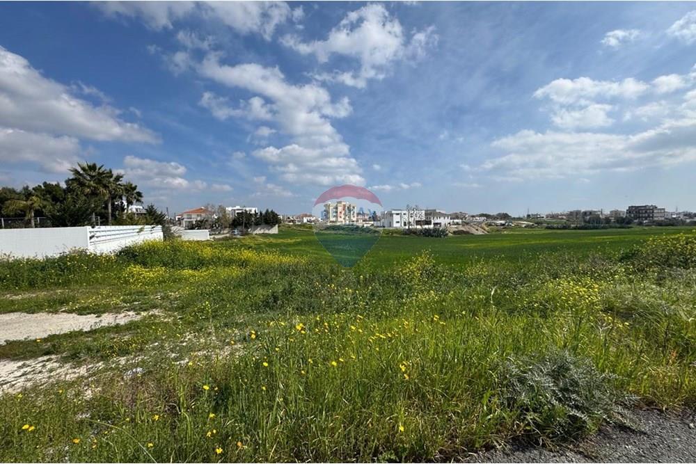 Residential - Land - Aradippou, Larnaca - CY - IMG-20250221-WA0027.jpg - 480091017-289