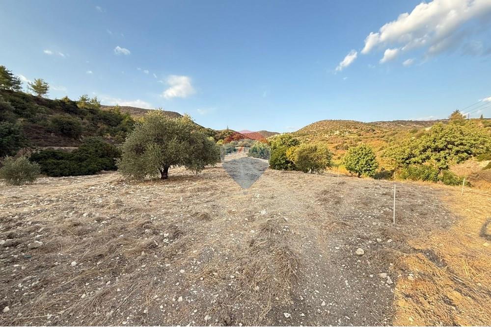 Prédio Habitacional - Terreno - Mathikoloni, Limassol - CY - WhatsApp Image 2025-10-03 at 3.42.04 PM (2).jpeg - 480031152-164