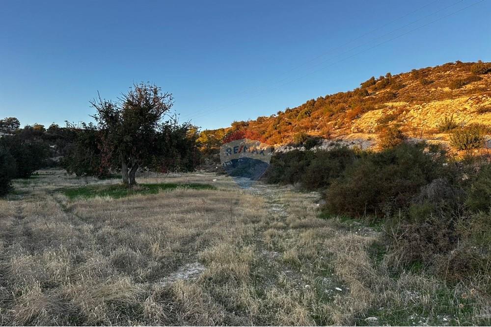 Residential - Land - Choirokitia, Larnaca - CY - WhatsApp Image 2025-12-30 at 12.25.55 PM (1).jpeg - 480091033-78