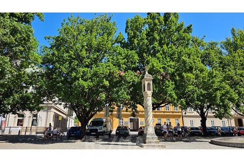 Slider Image Thumbnail