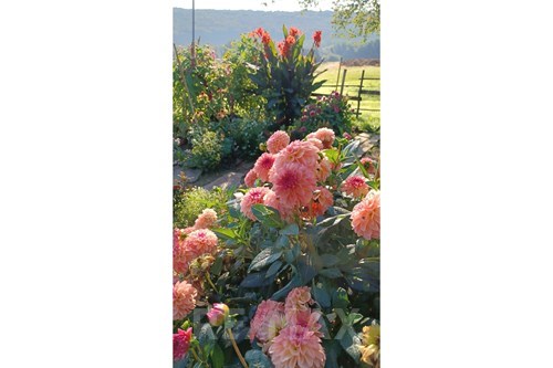 Slider Image Thumbnail