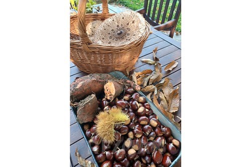 Slider Image Thumbnail
