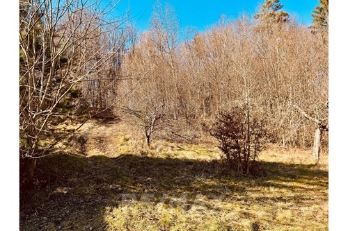 Slider Panorama Image Thumbnail