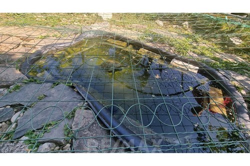 Slider Image Thumbnail