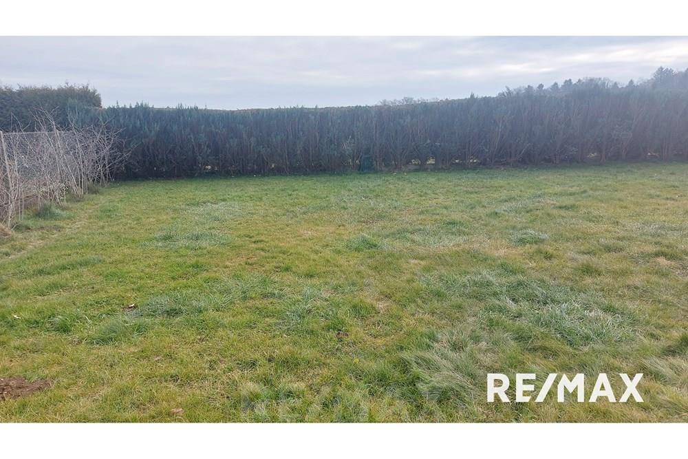 Wohnung - Bauland - Radizel, Podravje - SI - 20250115_130004.jpg - 490321042-393