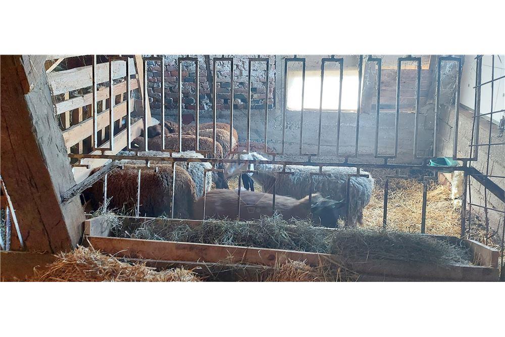 Wohnung - Boerderij - Zgornja Velka, Podravje - SI - 26 - 490321042-396