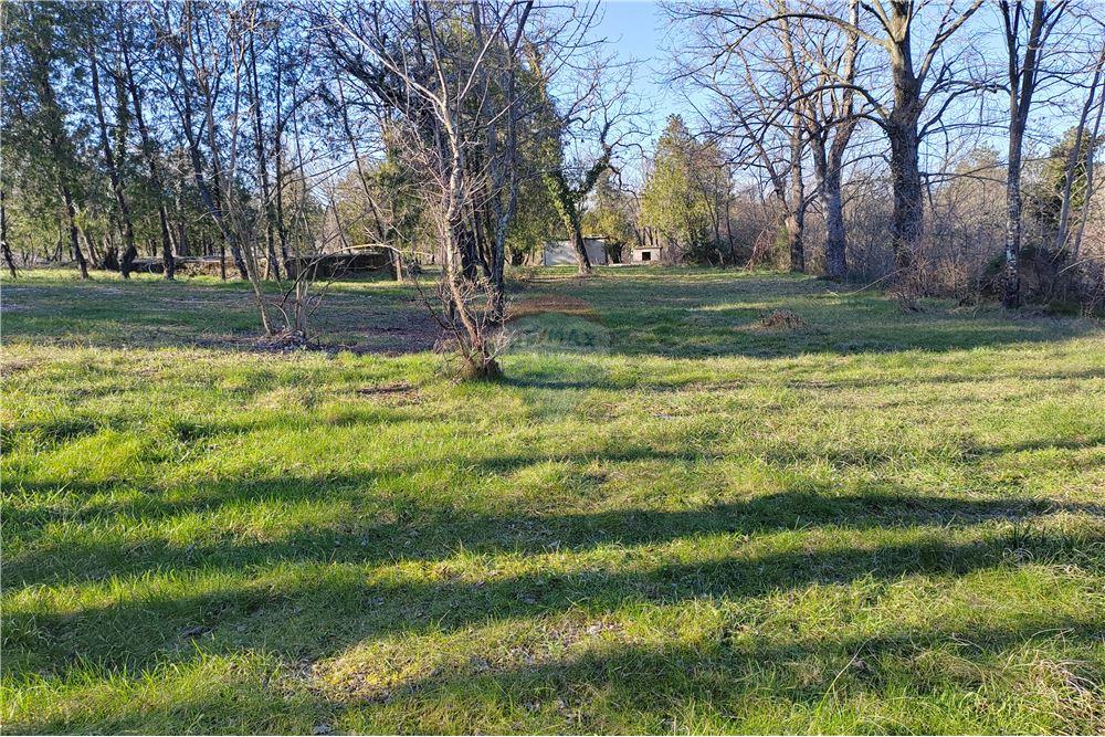 Commercial - Land - Komen, South Primorska region - SI - 12 - 490371006-122