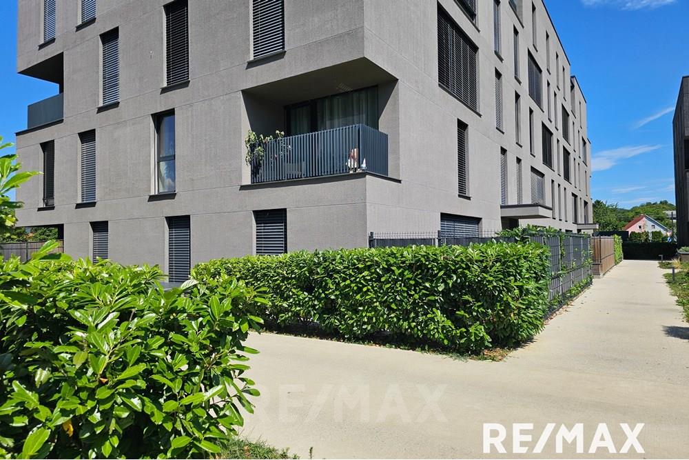 Wohnung - Wohnung - Maribor, Podravje - SI - 20250714_105523.jpg - 490321044-419