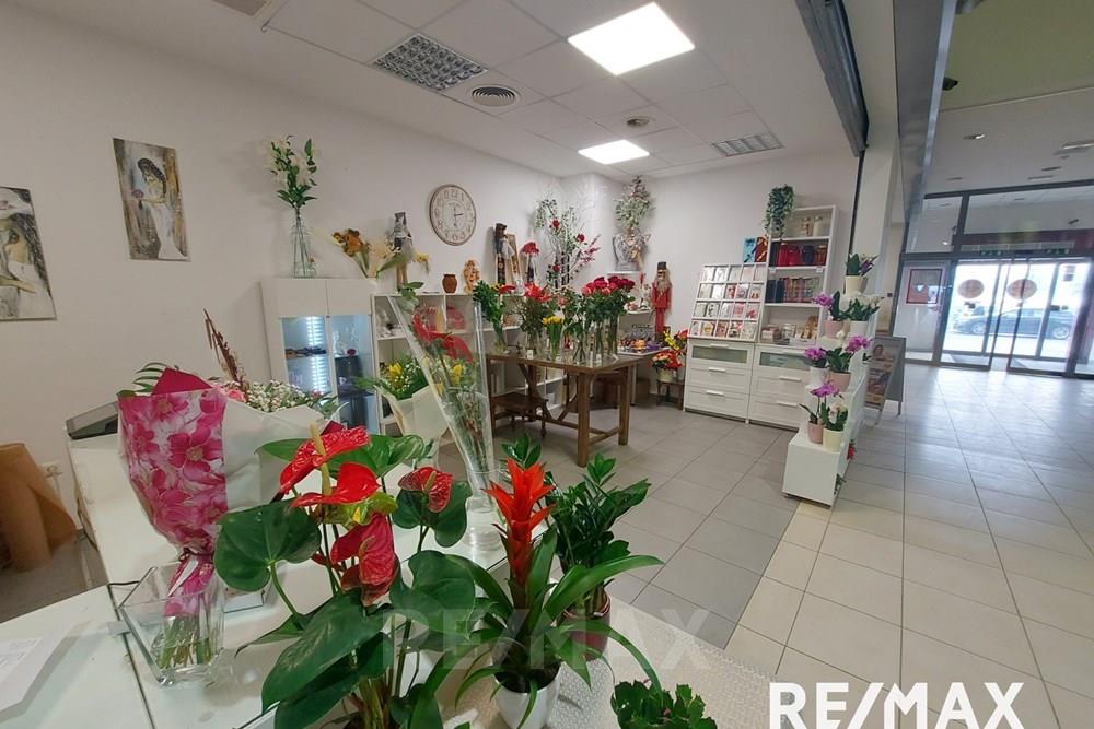 Commercieel - Laden/Einzelhandel - Pesnica, Podravje - SI - 20260115_142924.jpg - 490321042-402