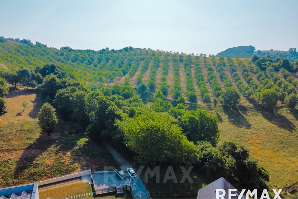 Wohnung - Bauland - Maribor, Podravje - SI - image00013.jpg - 490321067-38