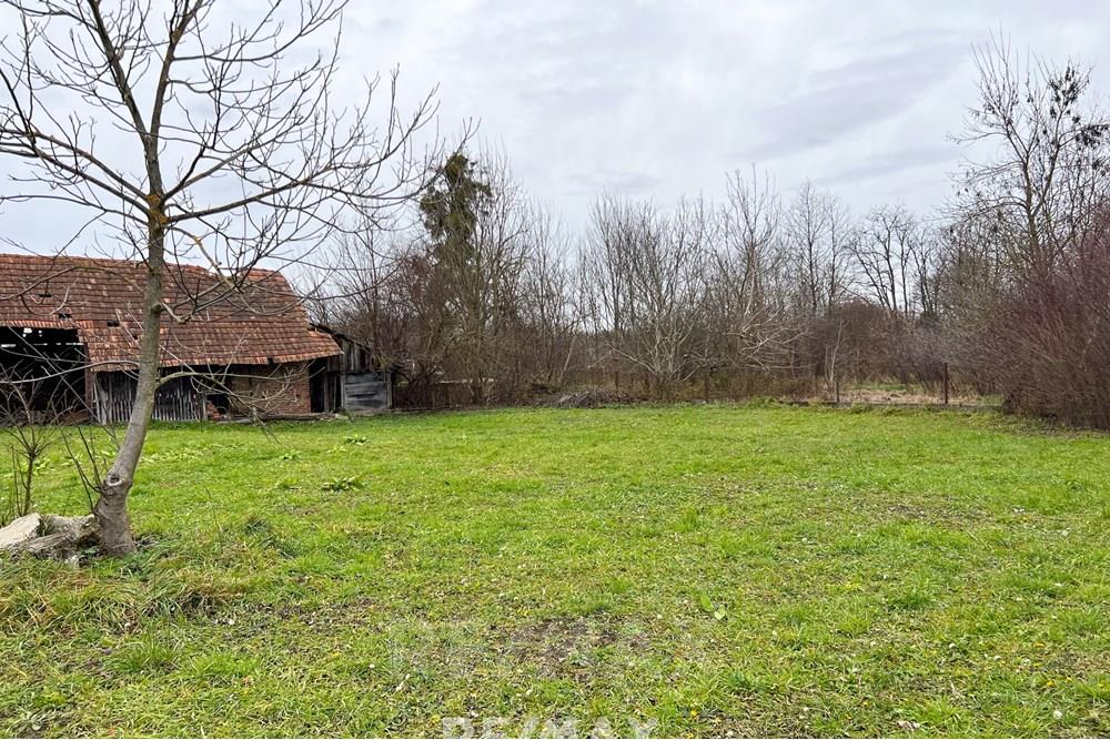 住宅 - 小屋 - Lendava, Pomurje - SI - IMG_0572.jpg - 490321067-27