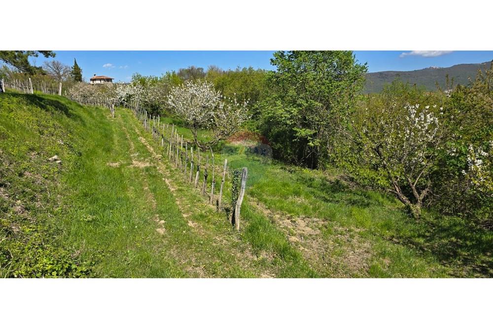 Residential - Plot of Land for Hospitality Development - Brda, North Primorska region - SI - IMG-20250407-WA0001.jpg - 490371006-124