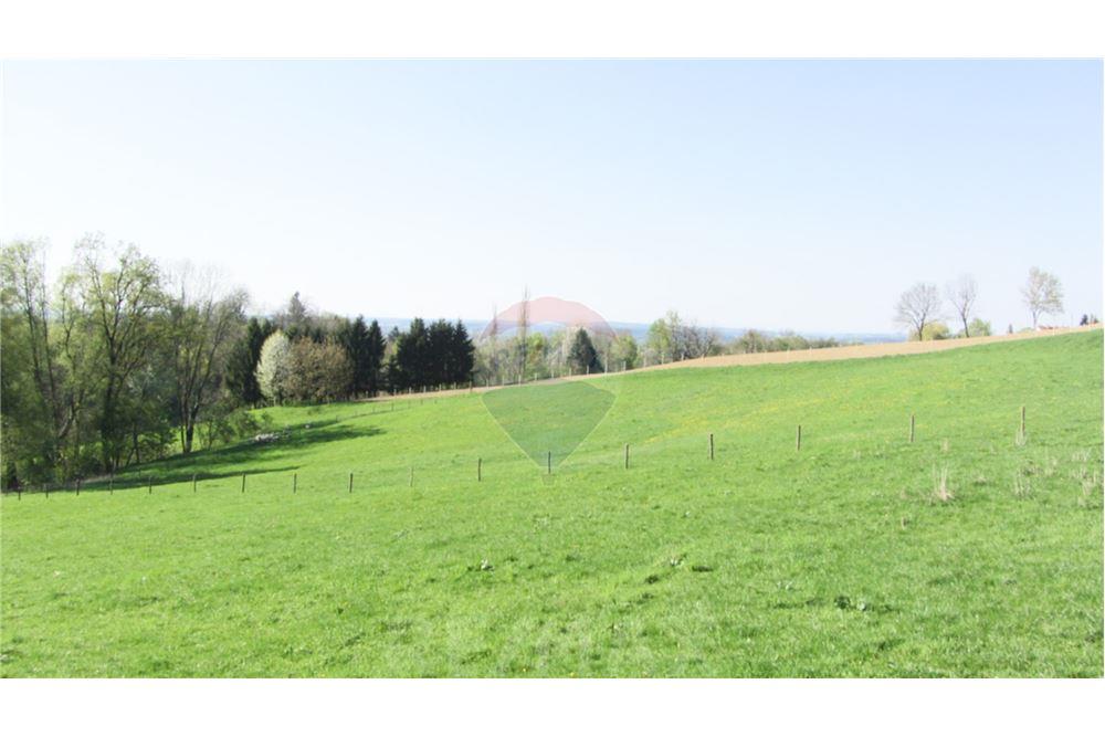 Wohnung - Boerderij - Zgornja Velka, Podravje - SI - 31 - 490321042-396