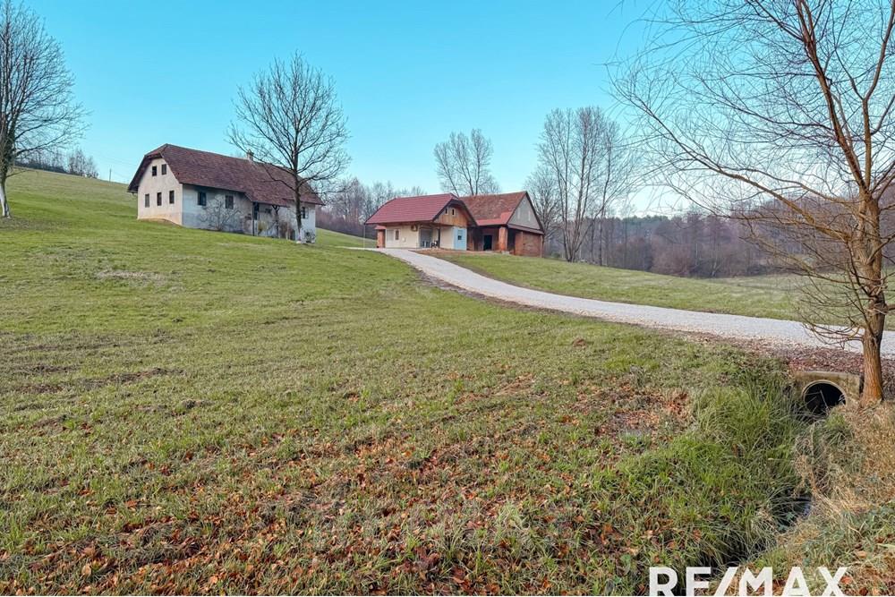 Wohnung - Boerderij - Cerkvenjak, Podravje - SI - IMG_7013.jpg - 490321067-41