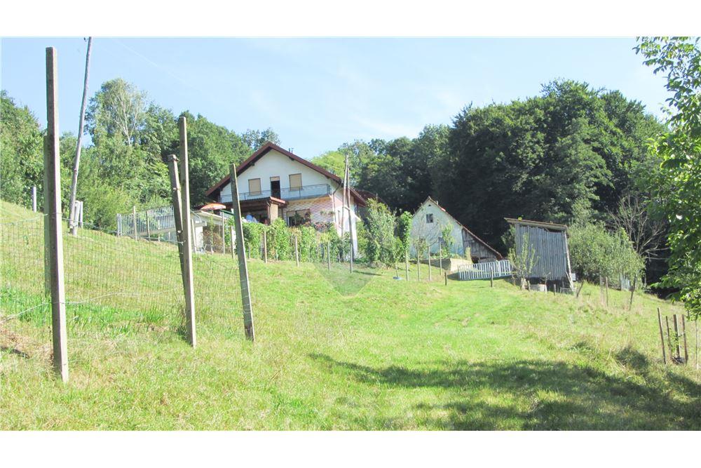 Wohnung - Boerderij - Zgornja Velka, Podravje - SI - 39 - 490321042-396