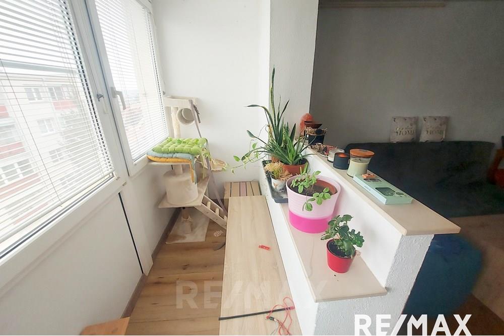 Wohnung - Wohnung - Maribor, Podravje - SI - 20251204_132501.jpg - 490321042-397