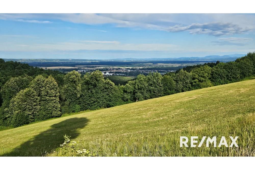 Wohnung - Doppelhaushälfte - Rače - Fram, Podravje - SI - 20250709_181808.jpg - 490321054-254