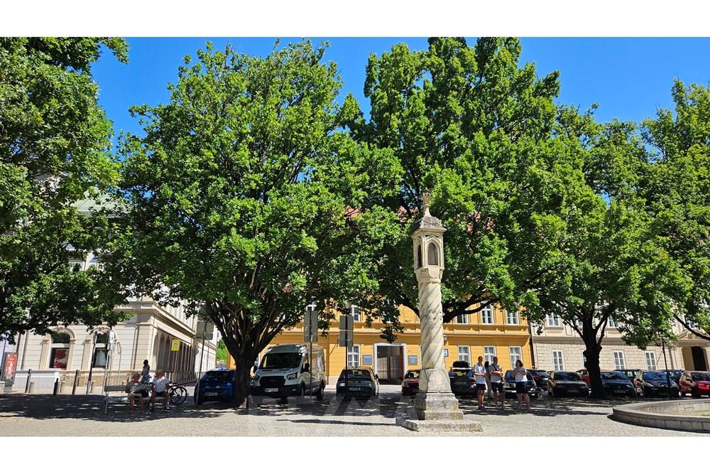 Wohnung - Wohnung - Maribor, Podravje - SI - 20250702_104821.jpg - 490321054-264