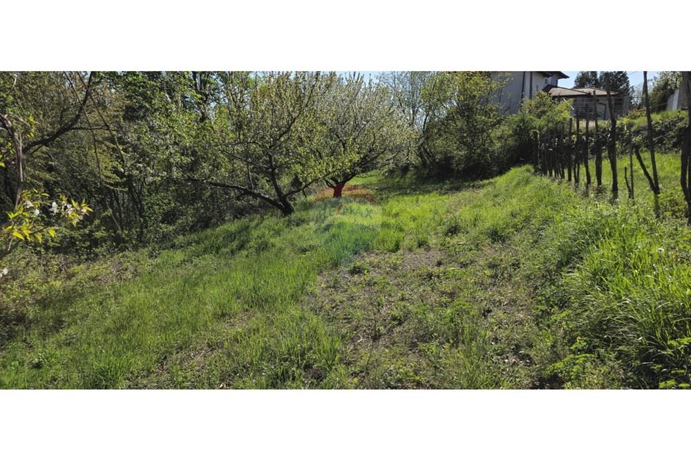 Residential - Plot of Land for Hospitality Development - Brda, North Primorska region - SI - IMG-20250407-WA0003.jpg - 490371006-124