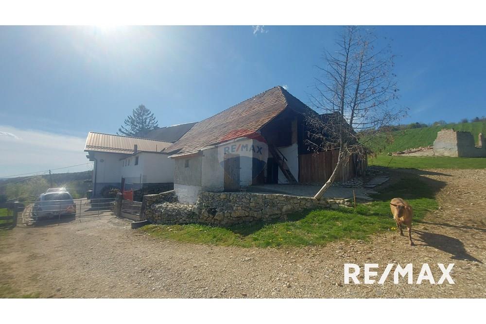 Wohnung - Hütte - Zgornji Duplek, Podravje - SI - 20250411_152327.jpg - 490321042-376