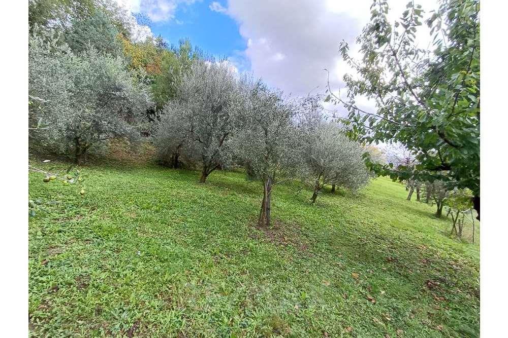 Residential - Development land - Nova Gorica, North Primorska region - SI - 20231106_120316.jpg - 490371006-134