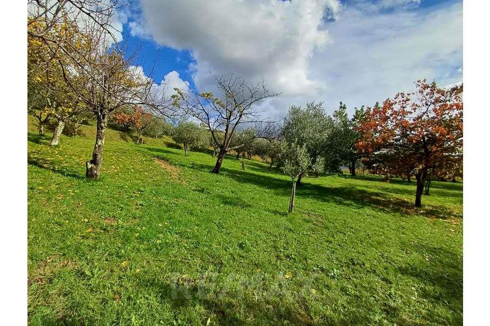 Residential - Development land - Nova Gorica, North Primorska region - SI - 20231106_120428.jpg - 490371006-134