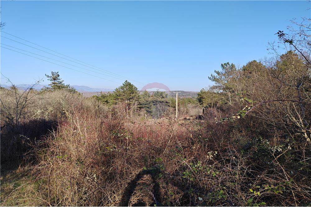 Commercial - Land - Komen, South Primorska region - SI - 11 - 490371006-122