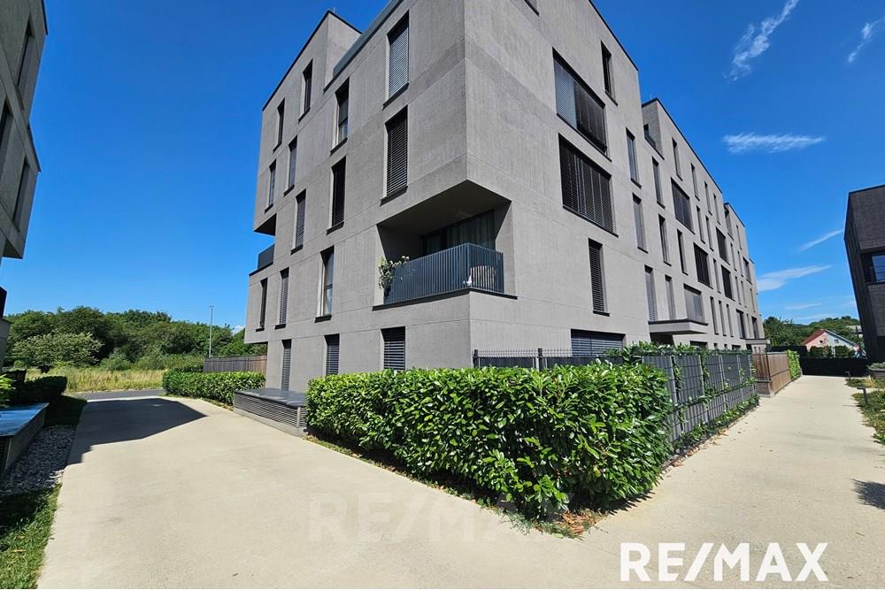 Wohnung - Wohnung - Maribor, Podravje - SI - 20250714_105505.jpg - 490321044-419