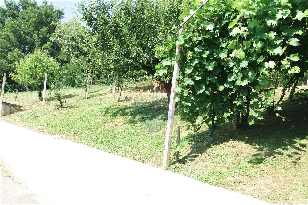 Wohnung - Boerderij - Zgornja Velka, Podravje - SI - 20 - 490321042-396