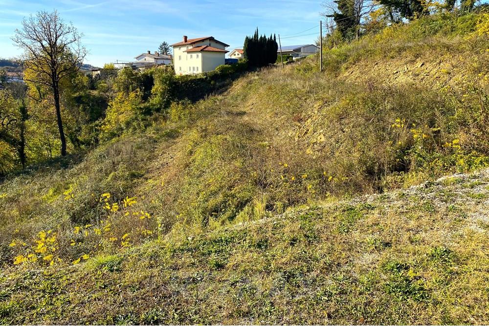 Residential - Plot of Land for Hospitality Development - Brda, North Primorska region - SI - 01 IMG_6448.jpeg - 490371007-35