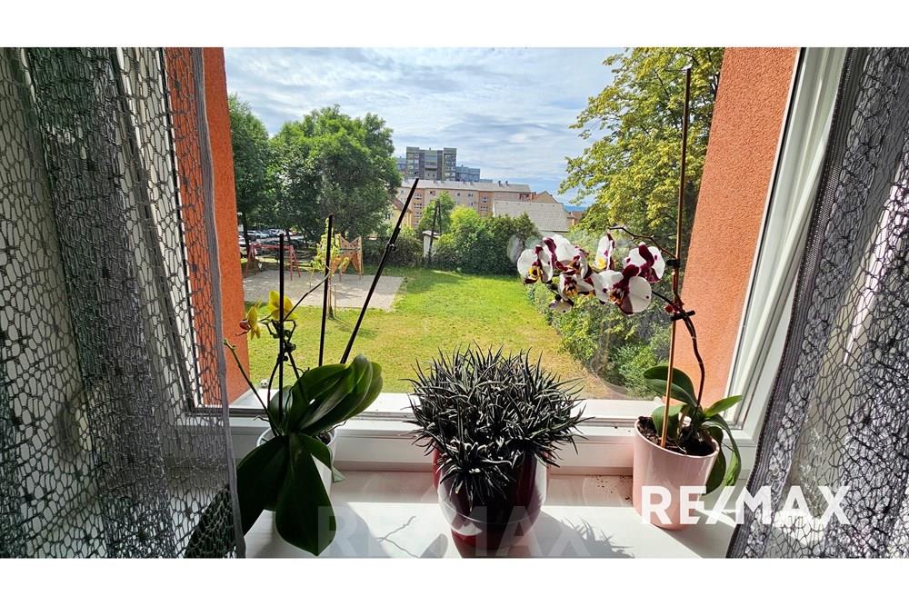 Wohnung - Wohnung - Maribor, Podravje - SI - 20250617_154957.jpg - 490321054-252