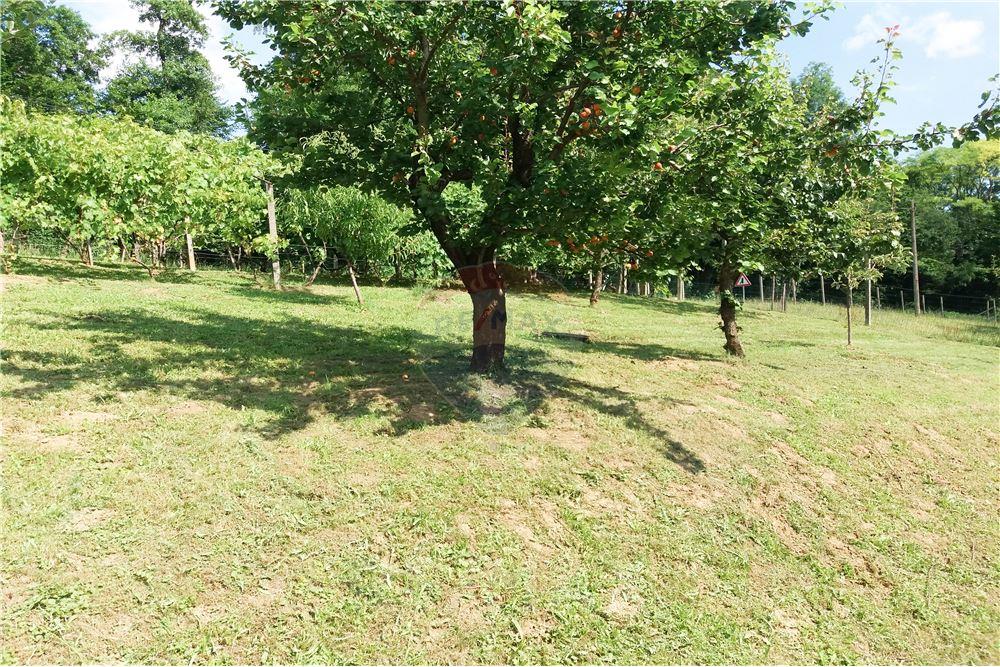 Wohnung - Boerderij - Zgornja Velka, Podravje - SI - 22 - 490321042-396