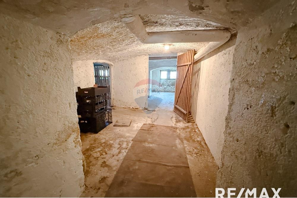 Wohnung - Villa - Maribor, Podravje - SI - IMG_1205.jpg - 490321062-221