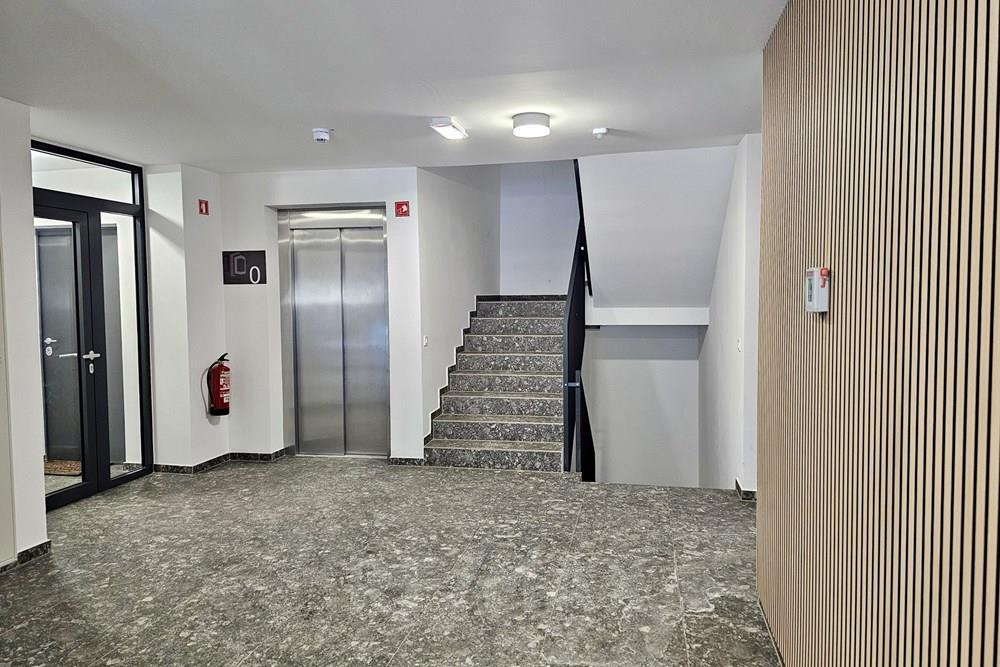 Wohnung - Wohnung - Maribor, Podravje - SI - 20260111_113116.jpg - 490321044-436