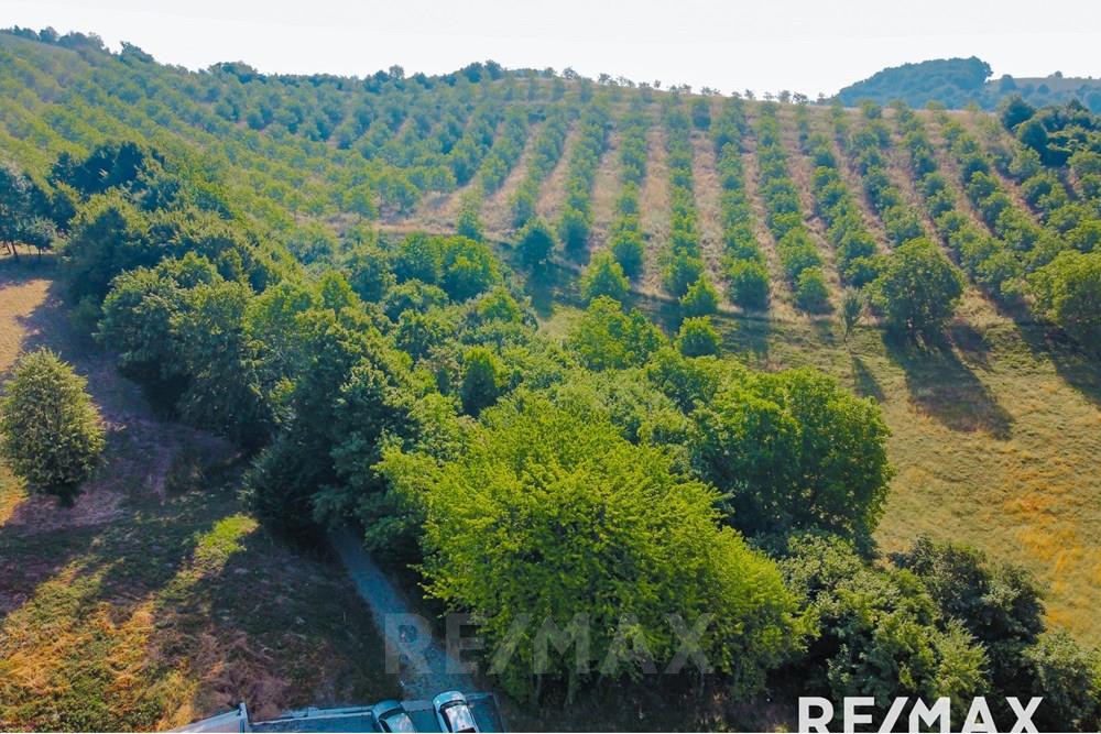 Wohnung - Bauland - Maribor, Podravje - SI - image00012.jpg - 490321067-38