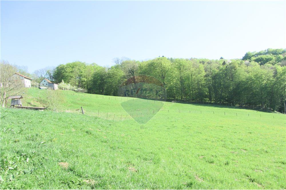 Wohnung - Boerderij - Zgornja Velka, Podravje - SI - 35 - 490321042-396