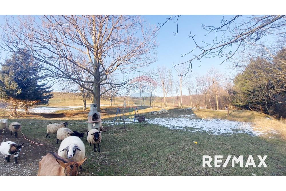 Wohnung - Hütte - Zgornji Duplek, Podravje - SI - 20250220_161128.jpg - 490321042-376