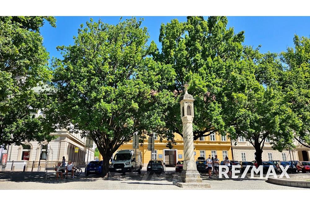 Wohnung - Wohnung - Maribor, Podravje - SI - 20250702_104821.jpg - 490321054-260