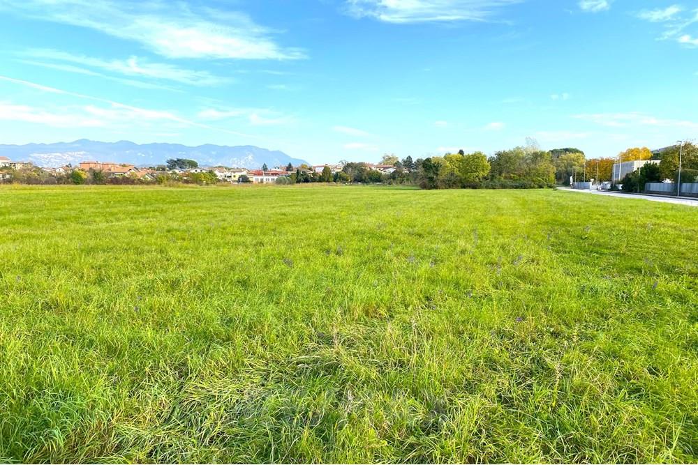 Commercial - Plot of Land for Building - Gorizia, GO - IT - 03 IMG_6396.jpeg - 490371007-34