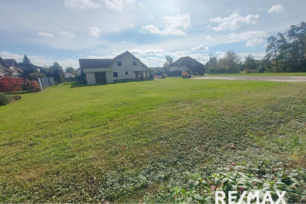 Wohnung - Bauland - Ptuj, Podravje - SI - 20251010_112809.jpg - 490321042-394