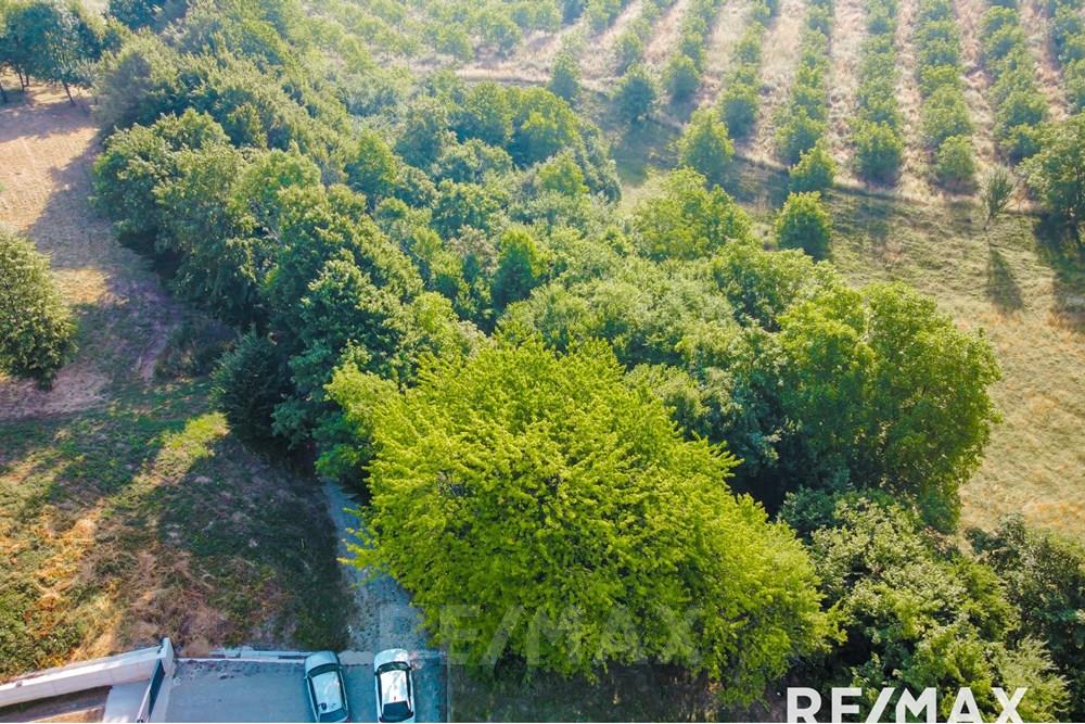 Wohnung - Bauland - Maribor, Podravje - SI - image00015.jpg - 490321067-38