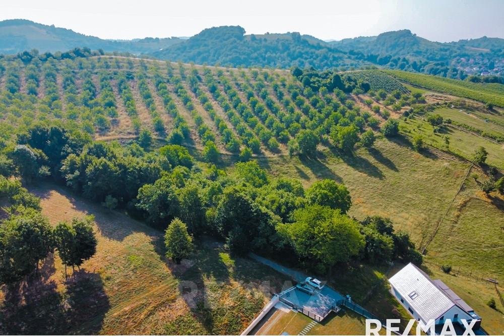 Wohnung - Bauland - Maribor, Podravje - SI - image00009.jpg - 490321067-38