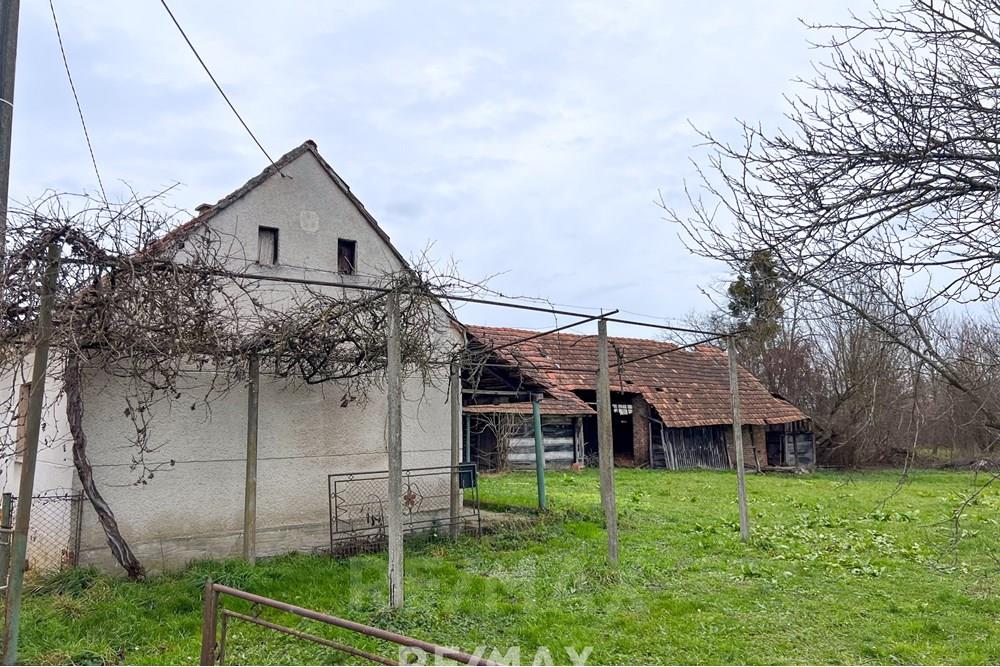 住宅 - 小屋 - Lendava, Pomurje - SI - IMG_0569.jpg - 490321067-27
