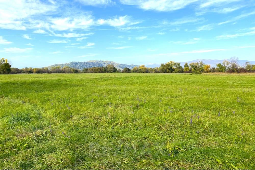 Commercial - Plot of Land for Building - Gorizia, GO - IT - 02 IMG_6397.jpeg - 490371007-34