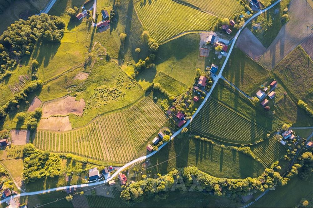 Wohnung - Landbouwperceel - Jarenina, Podravje - SI - h4.jpg - 490321050-71