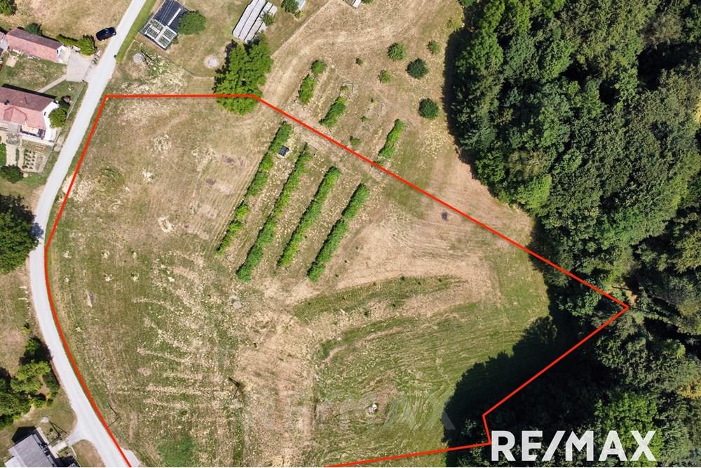 Wohnung - Bauland - Sv. Ana v Slovenskih goricah, Podravje - SI - dji_fly_20250626_111334_183_1750929343732_photo_optimized copy.jpg - 490321068-117